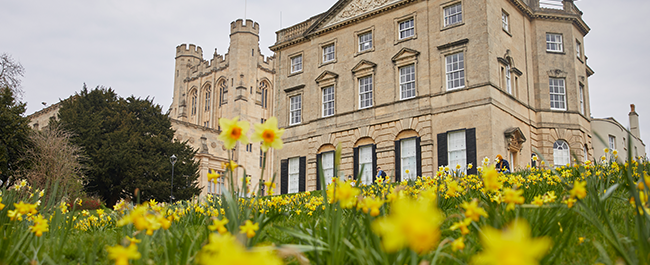 Royal forts house in the background with daffodils in bloom in front.